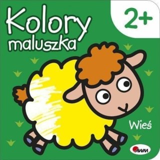 KOLORY MALUSZKA WIEŚ AWM WYDAWNICTWO