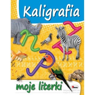 Kaligrafia moje literki AWM WYDAWNICTWO