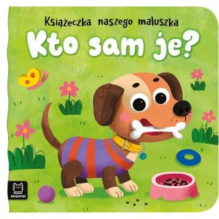 Kto sam je AKSJOMAT AKSJOMAT