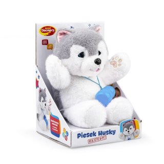 PIESEK HUSKY DUMEL DISCOVERY DUMEL