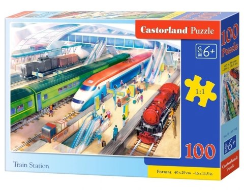 PUZZLE 100 TRAIN STATION CASTOR