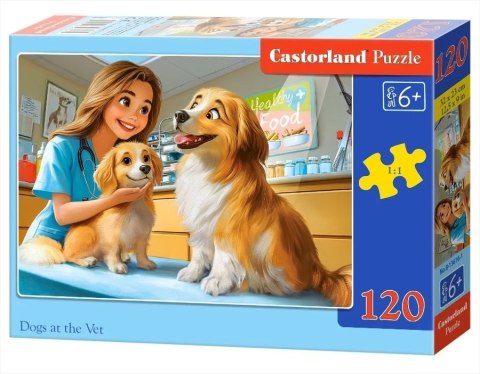 PUZZLE 120EL. DOGS AT THE VET CASTOR