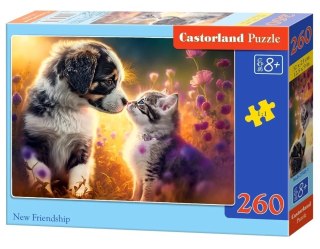 PUZZLE 260 EL. NEW FRIENDSHIP CASTOR