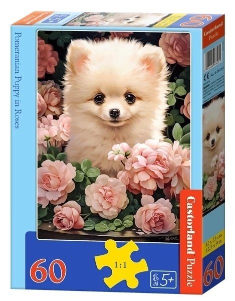 PUZZLE 60EL. POMERANIAN PUPPY CASTOR