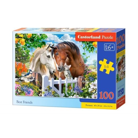 Puzzle 100 best friends CASTOR
