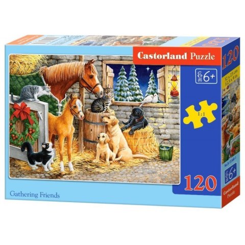 Puzzle 120el. gathering friend CASTOR CASTOR