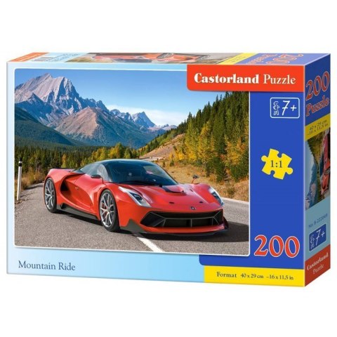Puzzle 200 mountain ride CASTOR