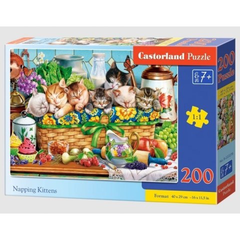 Puzzle 200 napping kittens CASTOR