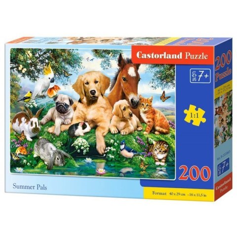 Puzzle 200 summer pals CASTOR