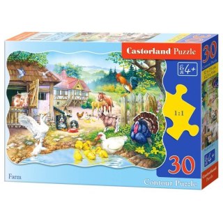 Puzzle 30 el. farm CASTOR
