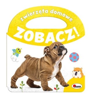 Zobacz zwierzęta domowe AWM WYDAWNICTWO AWM WYDAWNICTWO