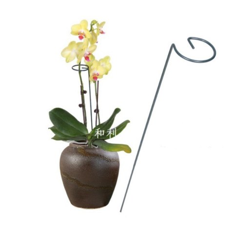 Podpora do roślin tyczka stojak na kwiaty 35 cm ciemnozielona