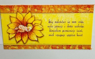 Karnet Gratulacje+ koperta