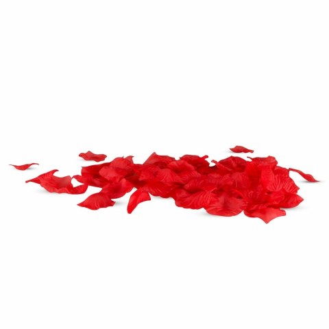 EasyToys Zestaw Startowy Intymny dla Par i Kobiet 7 elementow