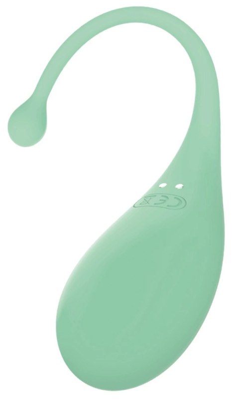 Adrien Lastic Palpitation Mint - Wibrujące Jajko Bluetooth, 18 cm