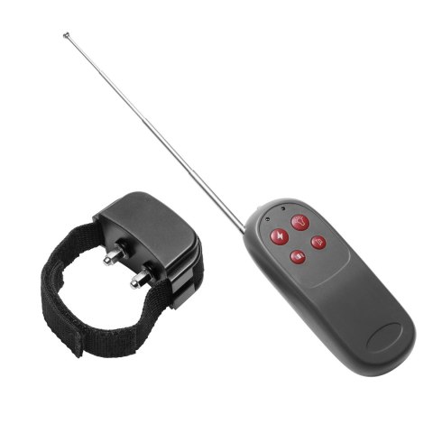 XR Brands Zeus Electrosex system z pilotem bezprzewodowym