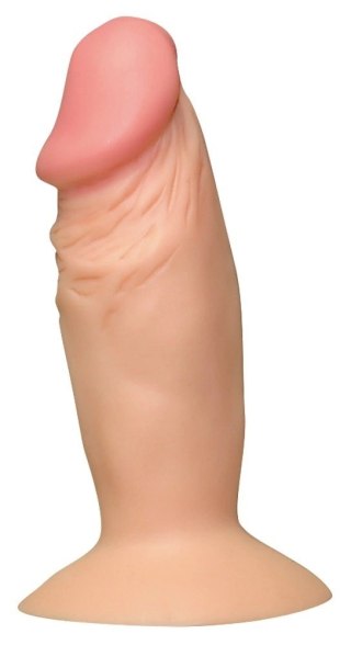 You2Toys Model anatomiczny z przyssawką PVC 11,5 cm - kompaktowy rozmiar