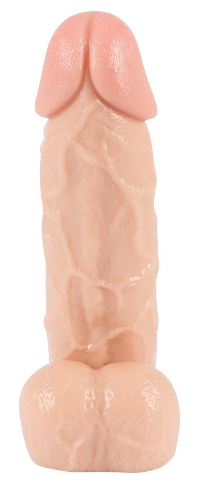 You2Toys model anatomiczny z podstawą, skora, 20,5 cm