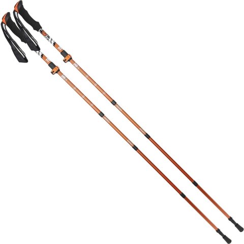 KIJE NORDIC WALKING TRIP W POKROWCU ENERO PRO