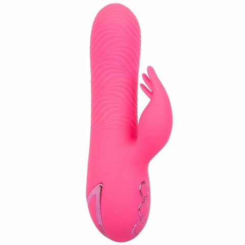 CalExotics Sacramento Sweetie Kalifornijski Wibrator Krolik Rożowy USB