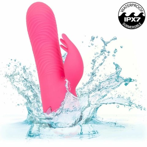 CalExotics Sacramento Sweetie Kalifornijski Wibrator Krolik Rożowy USB