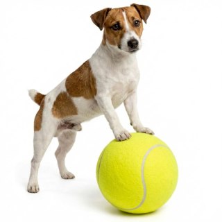 PIŁKA TENIS ZIEMNY XL 22CM