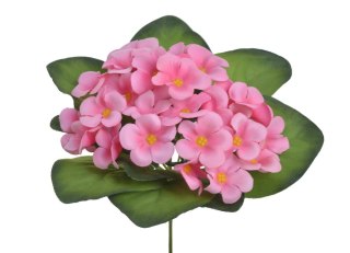 Fiołek afrykański 18cm. Różowy 86CAN3021209_02