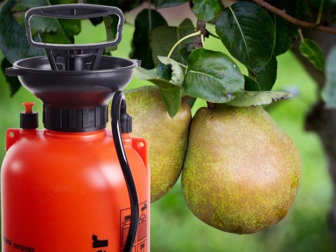 Opryskiwacz ciśnieniowy ręczny ogrodowy długa lanca 5l pasek 11429 5l