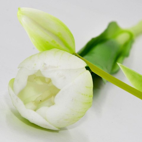BUKIET 5 TULIPANÓW BIAŁYCH 39CM JAK ŻYWYCH DEKORACJA WIOSENNA