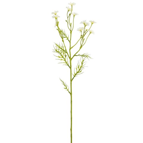 STOKROTKA BIAŁA 71CM MICA - BIAŁA
