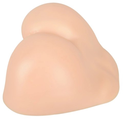 SilexD Daphne Model anatomiczny z systemem Silexpan, silikon, 27x32,5cm