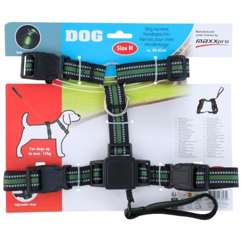 SZELKI DLA PSA Z TASMĄ ODBLASKOWĄ 44 -57CM MEDIUM ZE SMYCZĄ