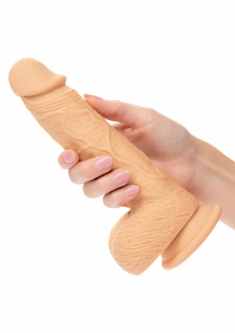 CalExotics Dual Density Silicone Stud 6.25" anatomiczny silikonowy model