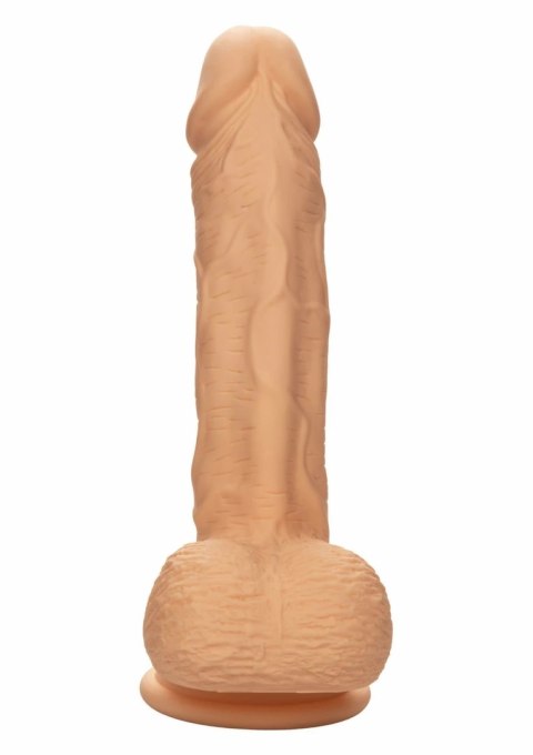 CalExotics Dual Density Silicone Stud 6.25" anatomiczny silikonowy model