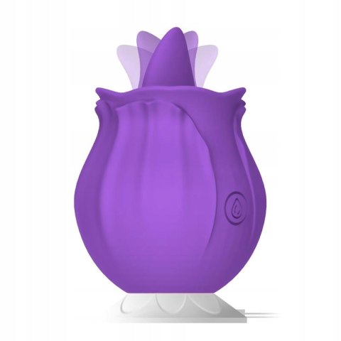 Purple Rose