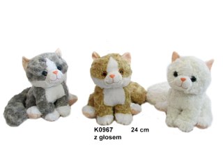 Kot z dźwiękiem K0967