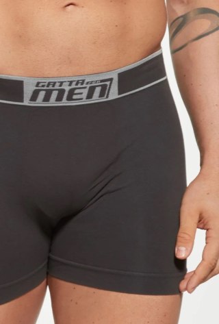 BOKSERKI BOXER COTTON S titanium 2