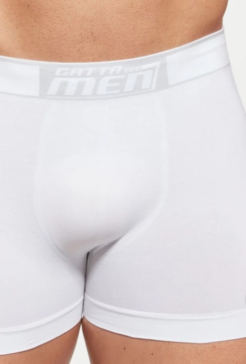 BOKSERKI BOXER COTTON S white