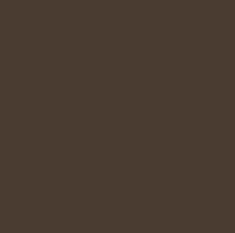 RAJSTOPY XENIA PLUS SIZE 15 DEN 7 chocco