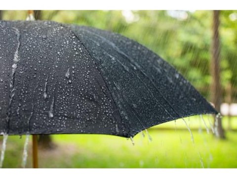 Parasol czarny automatyczny 56cm parlt531
