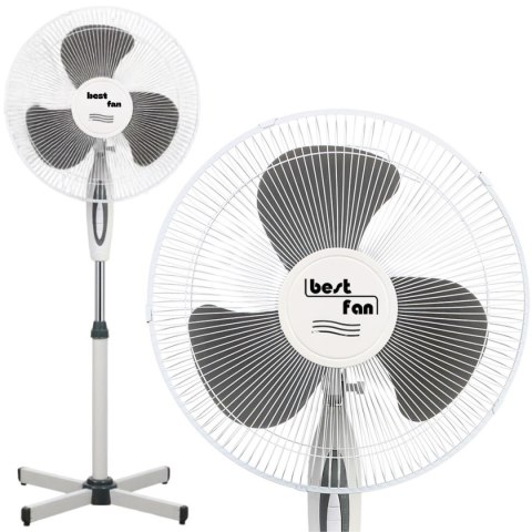 WENTYLATOR STOJĄCY BEST FAN 42W MAESTRO - 2szt
