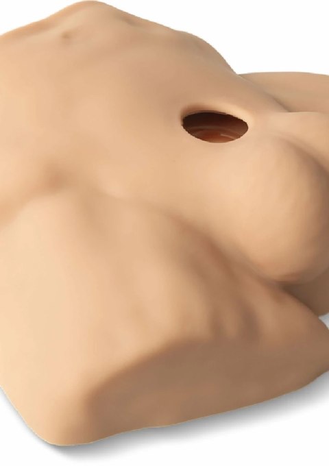 Silex-D Silicone Demi Torso Small - anatomiczny model z wymiennym elementem 7"