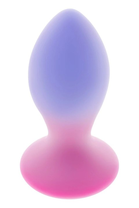 EVOLVED Paradise Plug silikonowy z pilotem, 10 trybow, USB, transparentny