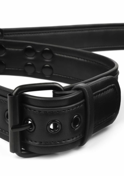 AVANZA VANTAGE 8 Signature Collar & Leash czarny PU skora regulowany