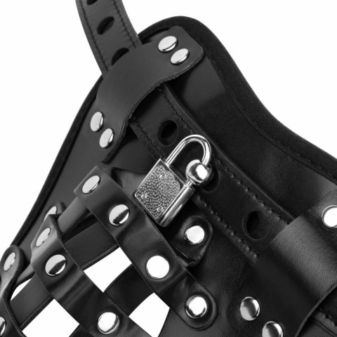 Bedroom Fantasies Chastity Cage Panty Black - pas z klatką i zamkiem