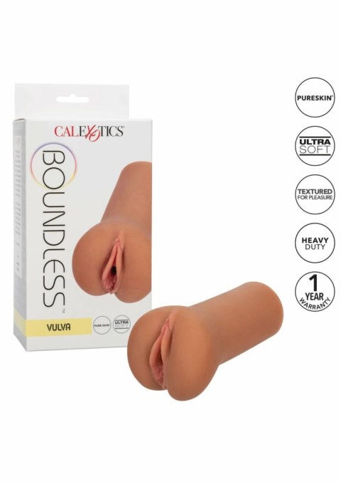 CalExotics Boundless Vulva model anatomiczny z teksturą Premium 716770097361