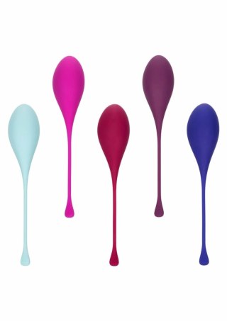 CalExotics Kegel Training 5 pcs - zestaw do ćwiczeń mięśni dna miednicy