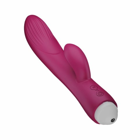 Easytoys Vibe Rabbit Vibrator Raspberry Pink silikonowy wodoodporny